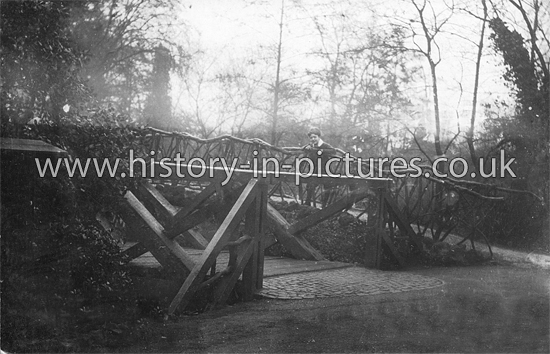 The Two Bridges, Lloyd Park, Walthamstow. c.1920